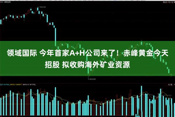 领域国际 今年首家A+H公司来了！赤峰黄金今天招股 拟收购海外矿业资源