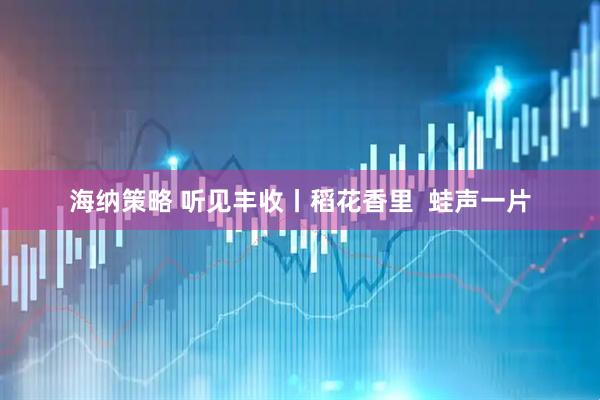 海纳策略 听见丰收丨稻花香里  蛙声一片