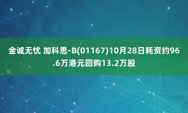 金诚无忧 加科思-B(01167)10月28日耗资约96.6万港元回购13.2万股