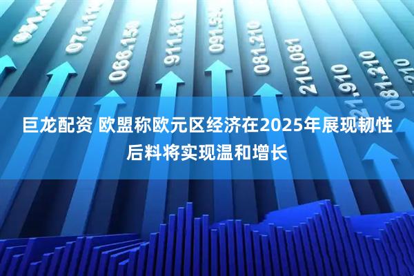 巨龙配资 欧盟称欧元区经济在2025年展现韧性后料将实现温和增长
