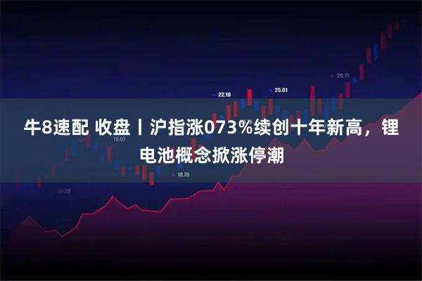 牛8速配 收盘丨沪指涨073%续创十年新高，锂电池概念掀涨停潮