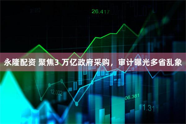 永隆配资 聚焦3 万亿政府采购，审计曝光多省乱象